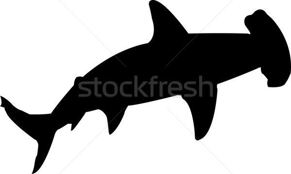 600x358 Hammerhead Stock Photos, Stock Images And Vectors Stockfresh