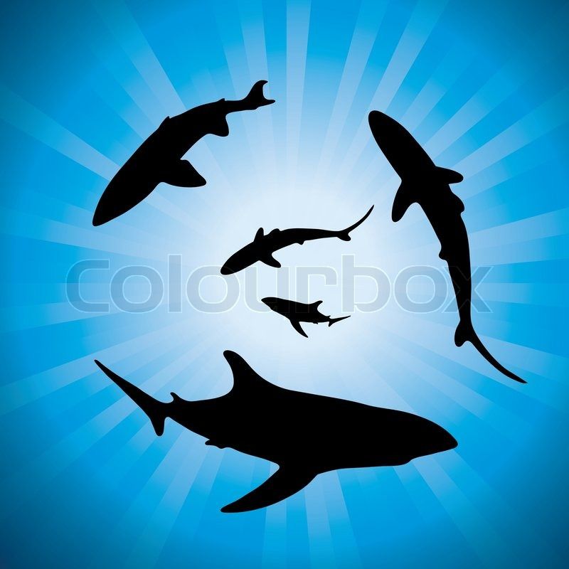 800x800 Fish Silhouette On Blue Background, Vector Illustration Vector