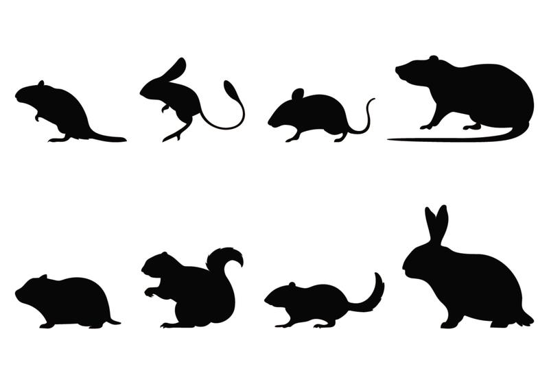 800x560 Rodent Silhouettes