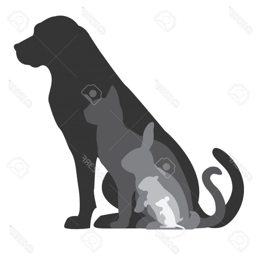 1024x1022 Unique Dog Cat Rabbit Hamster And Mouse Silhouettes Position File Free