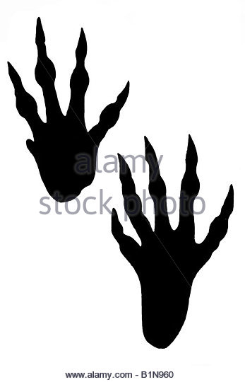 347x540 Hamster Feet Black And White Stock Photos Amp Images