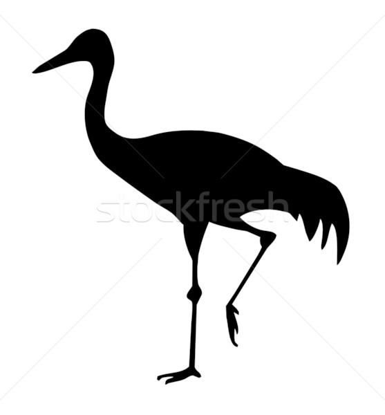557x600 Crane Stock Vectors, Illustrations And Cliparts
