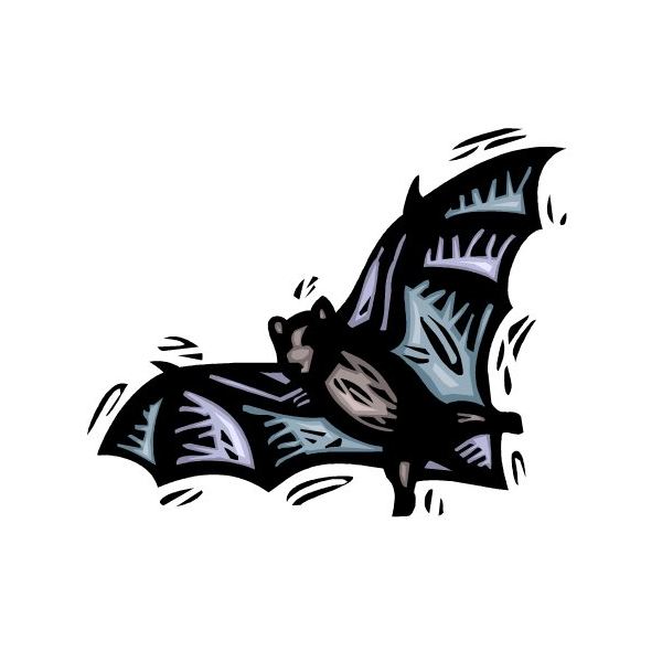 600x600 Halloween Bat Templates For Invitations, Party Flyers, Decorations