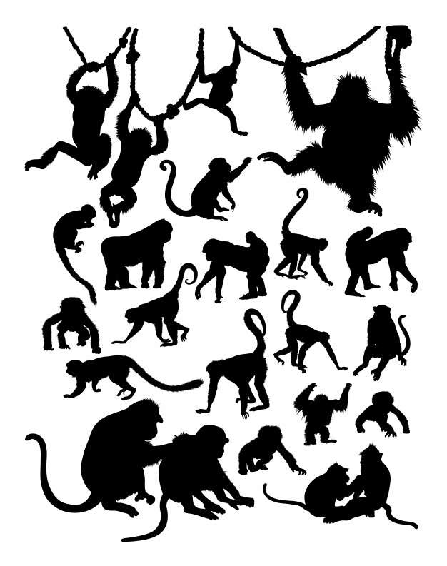 Download Hanging Monkey Silhouette at GetDrawings.com | Free for ...