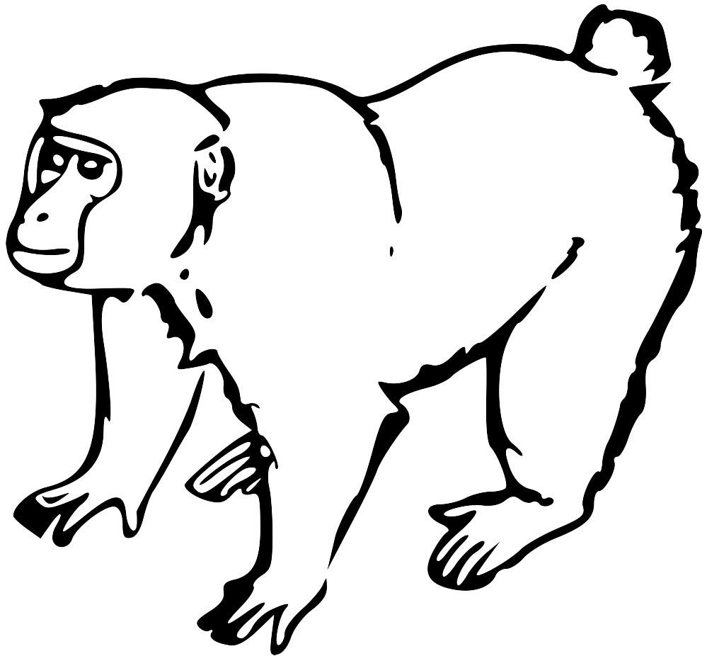 999x926 Img Draggable=false Class=emoji