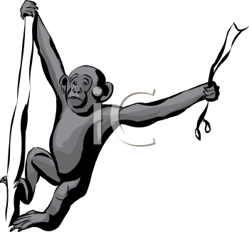 350x326 Chimpanzee Clipart Monkey Hanging