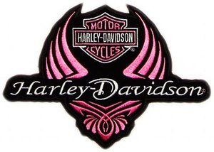 300x214 Harley Davidson Logo