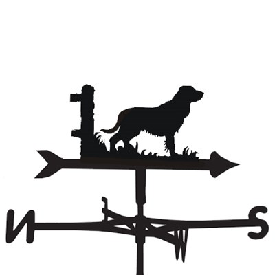 400x400 Weathervane In Field Spaniel Design
