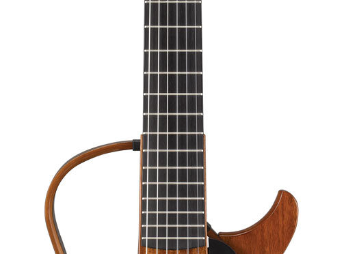 503x372 Guitars Archives