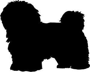 300x242 Havanese Dog Decal Sticker Car Van Vinyl Window Graphic Laptop Bin