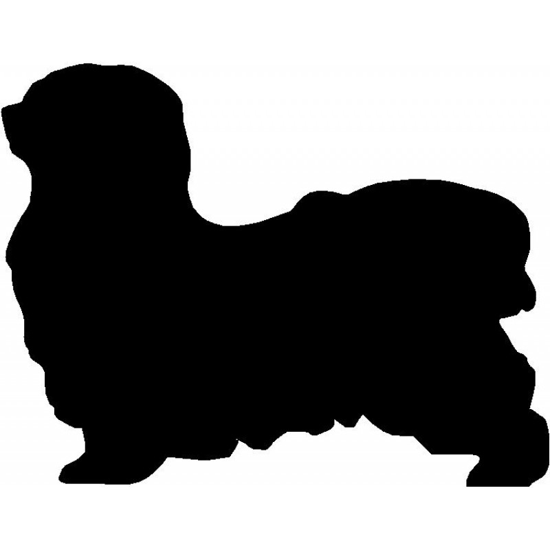 800x800 Dog Breed Silhouette Wall Hanging Magnetic Memo Havanese