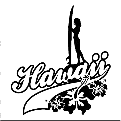 500x500 Hawaii Die Cut Vinyl Decal Pv540