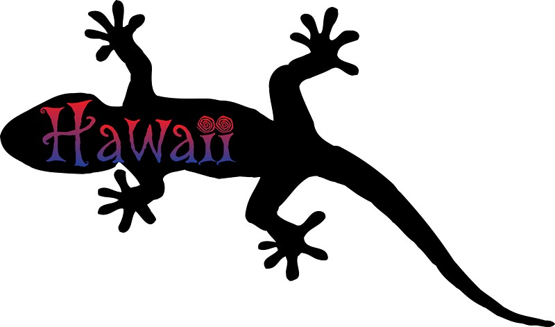 800x471 Hawaii Gecko Stickers By Rbbeachdesigns Redbubble