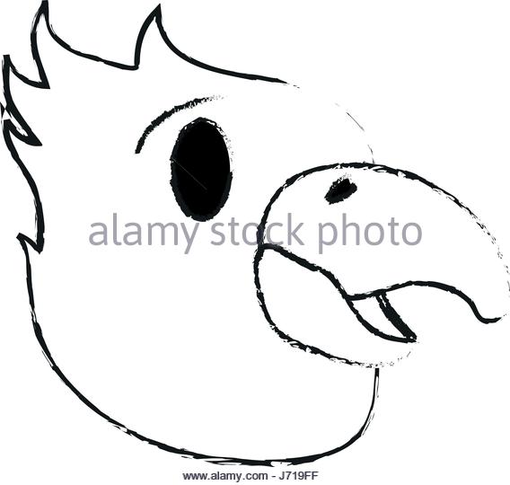 568x540 Eagle Head Silhouette Stock Photos Amp Eagle Head Silhouette Stock