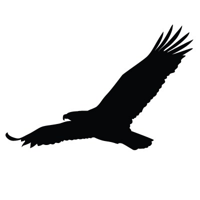 400x400 Bald Eagle Silhouette Pattern