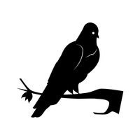 200x200 Creative Artistic Concept Concepts Bird Birds Animal Animals