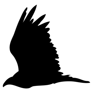 300x300 Silhouette Design Store