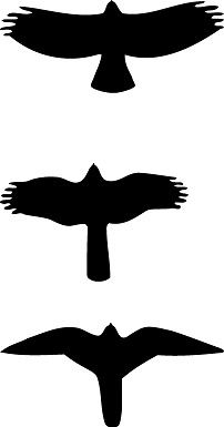 202x385 Riding12sept07.jpg Pixels Silhouettes