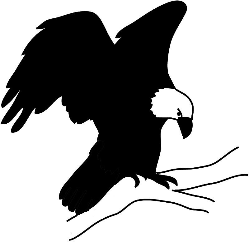 Hawk Silhouette Template at GetDrawings | Free download