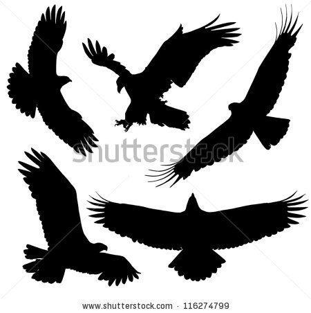 450x452 Eagle Silhouette On White Background