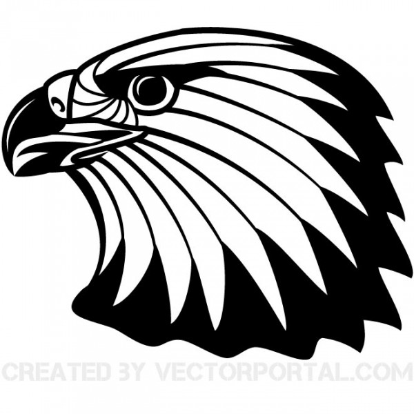 600x600 Free Vector Bald Eagle