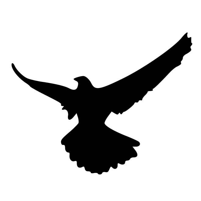 660x660 Hawk Silhouette
