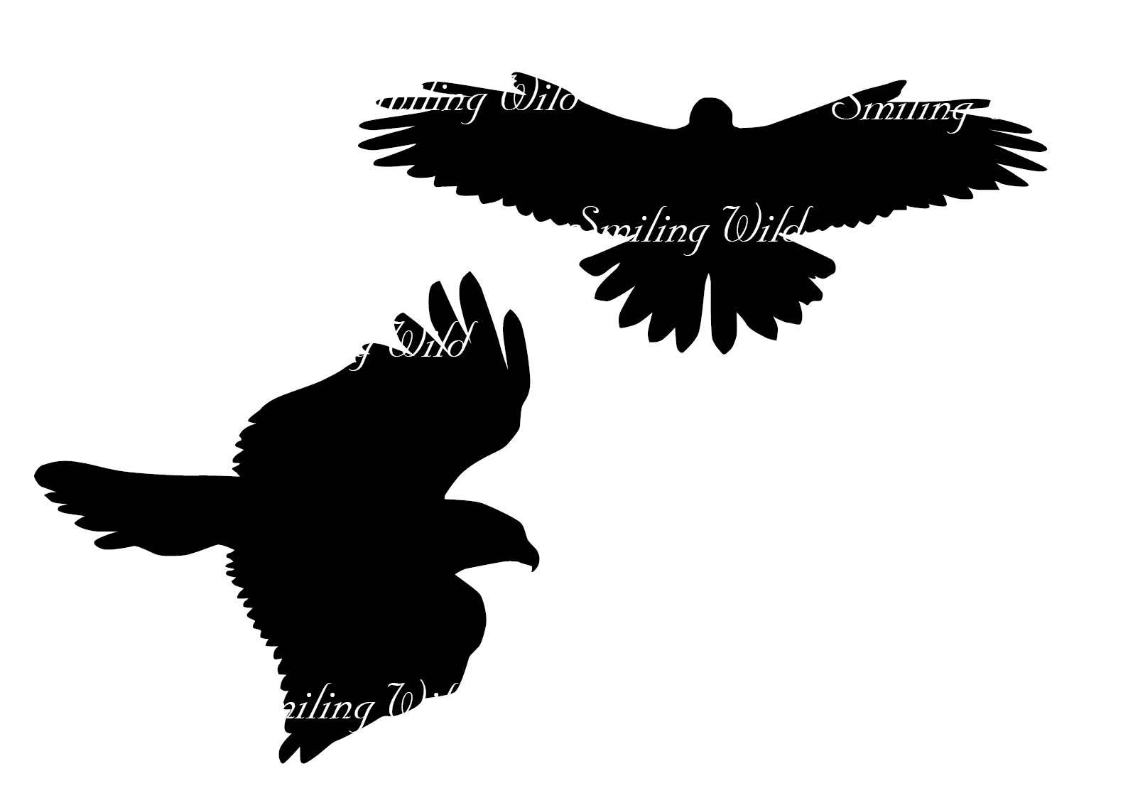 1588x1123 Hawk Silhouette Svg Clipart American Hawk Cutout Printable Bird