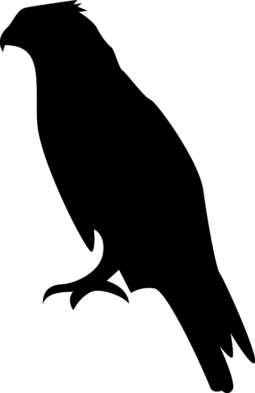 520x800 Red Hawk Cliparts