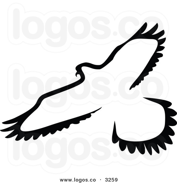 600x620 Black Hawk Bird Clipart