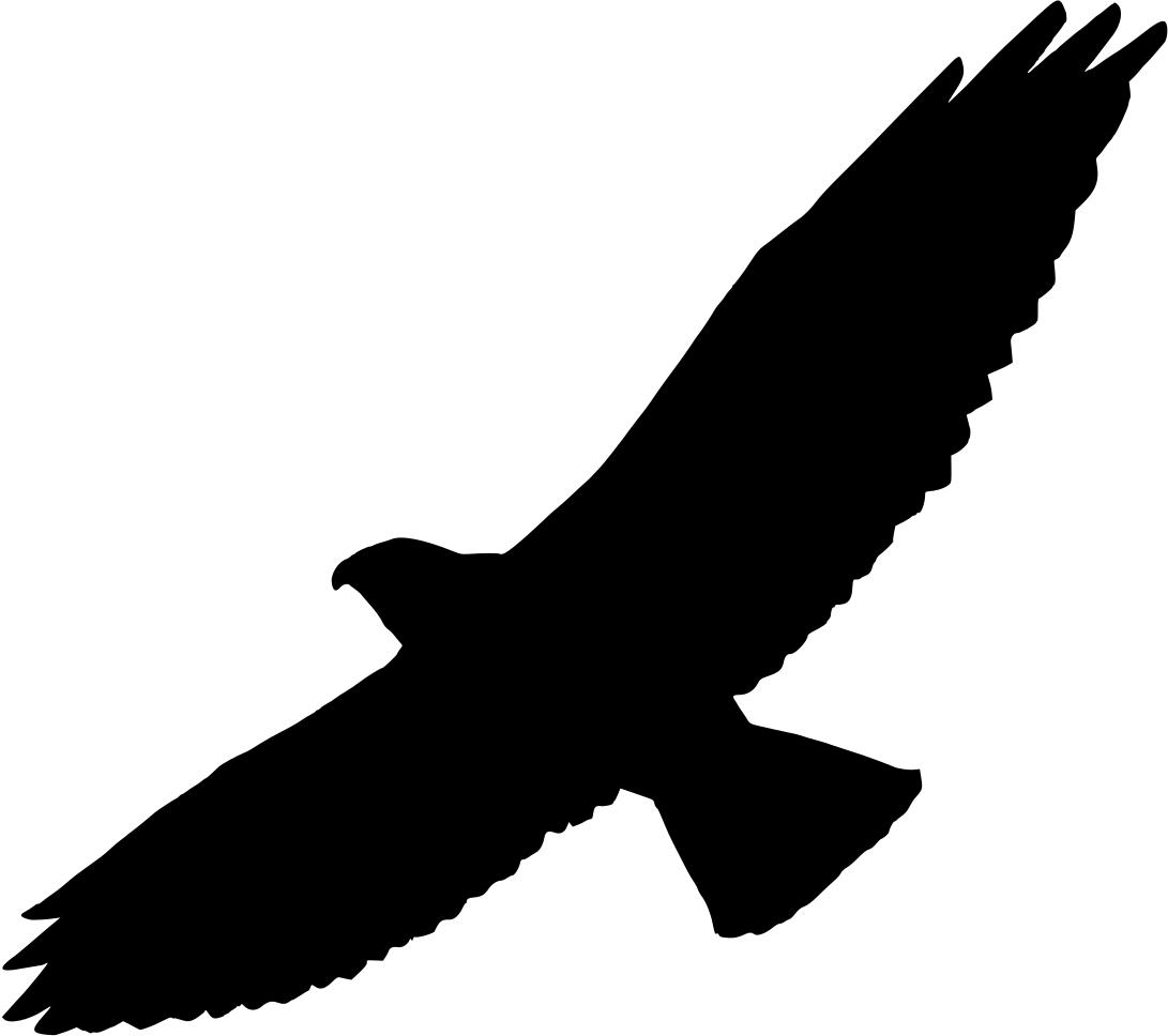 1091x968 Swainson's Hawk (Silhouette) Clipart