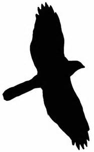 187x300 Free Hawk Silhouette Vector