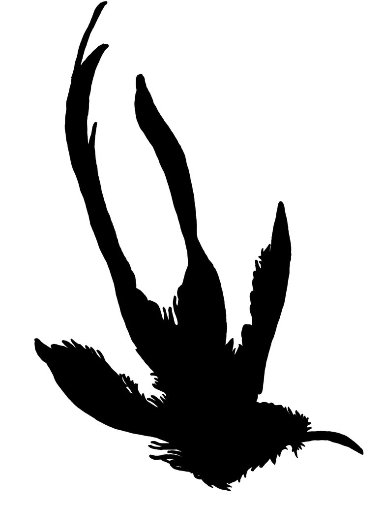 779x1026 Images Of Bricks 49523 Hd Wallpaper Pictures Top Wallpaper