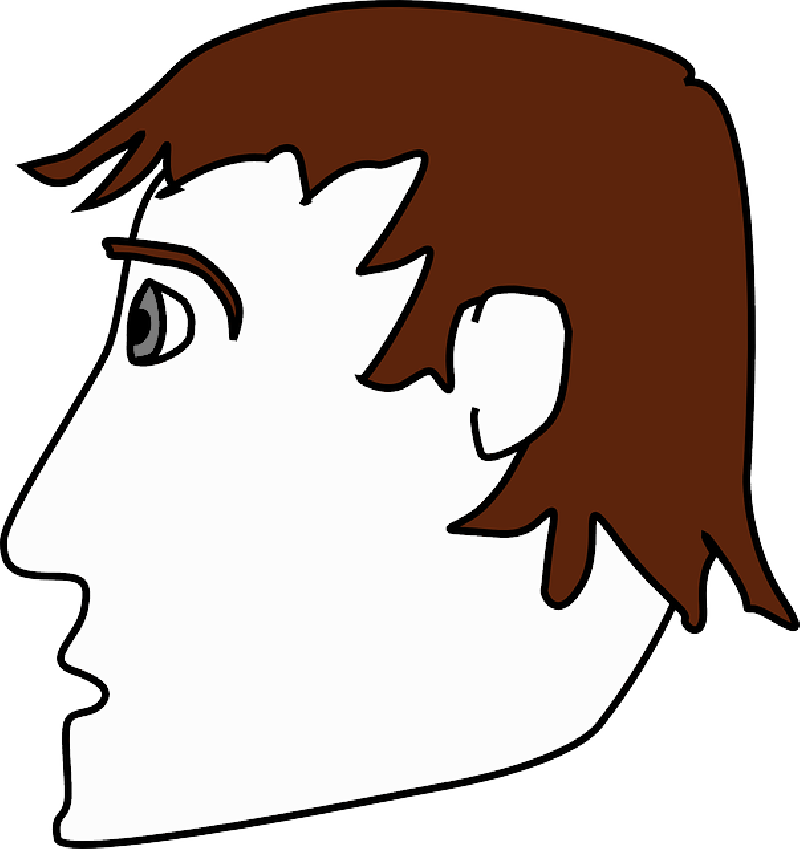 800x849 Head, View, People, Man, Profile, Silhouette, Face