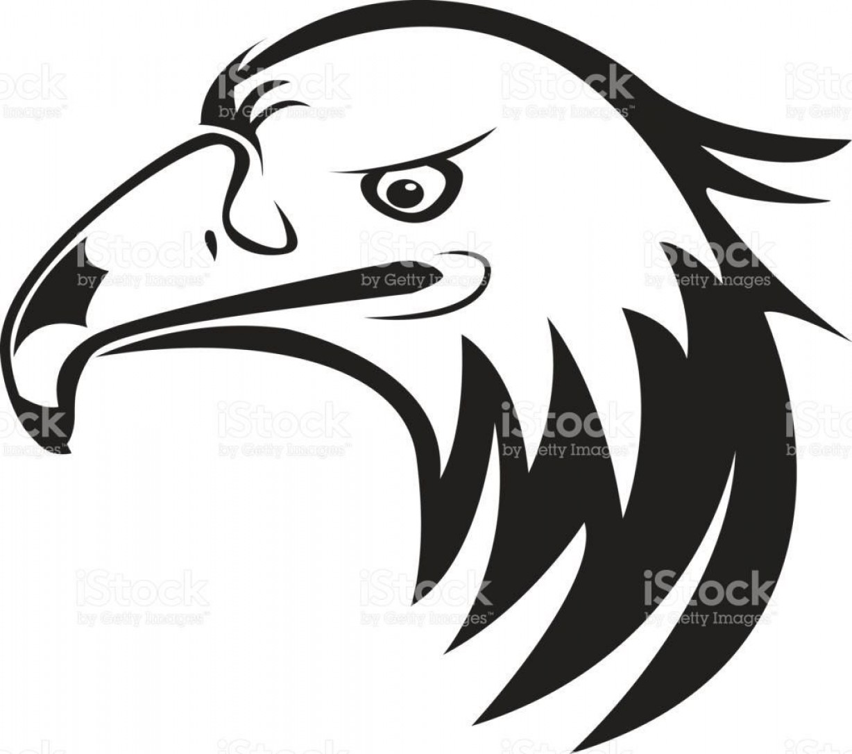 1228x1086 Eagles Head Silhouette Vector Arenawp