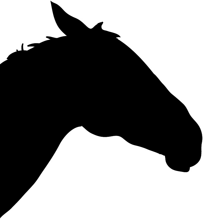 701x759 Horse Headshot Cliparts