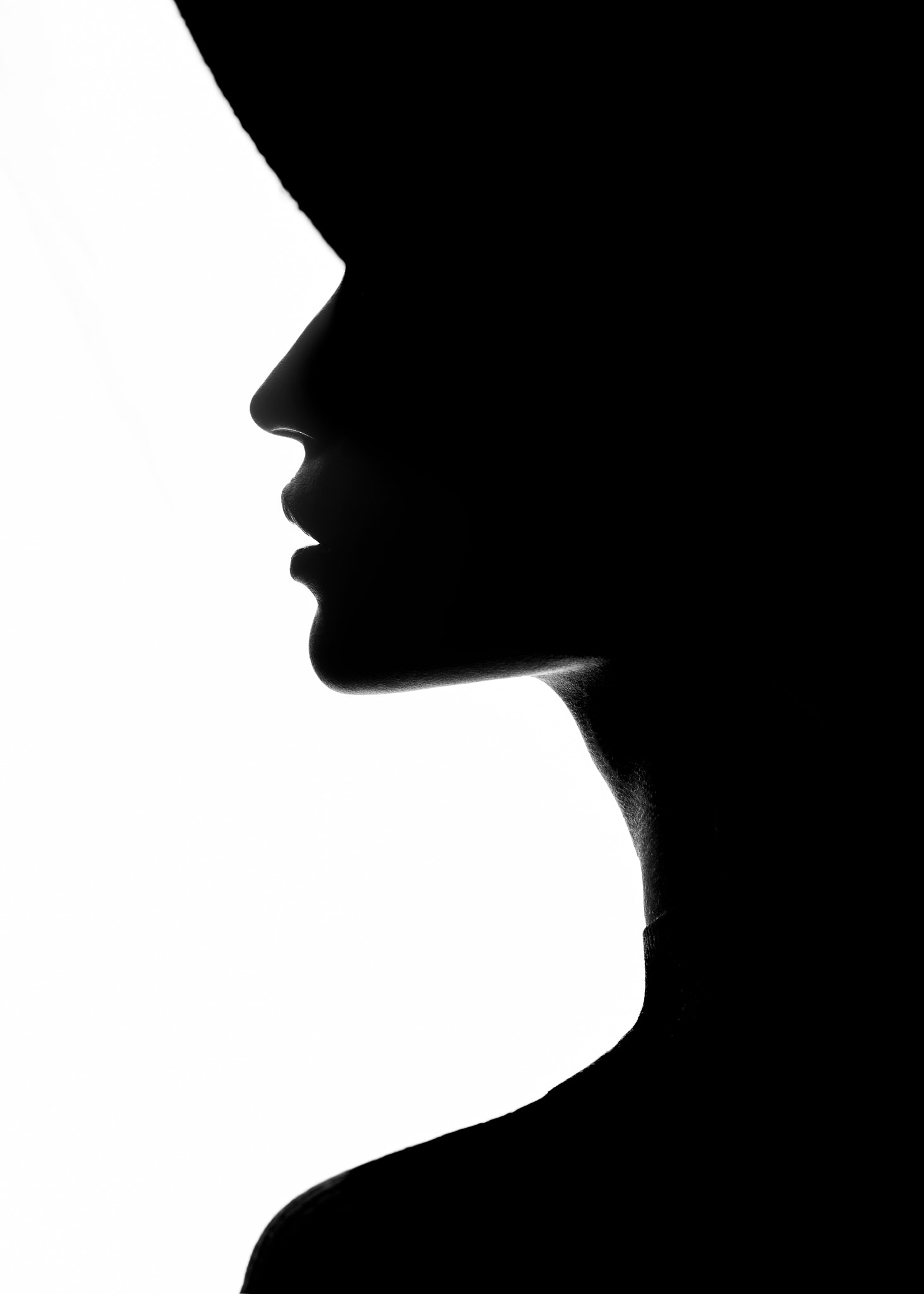 1463x2048 Silhouette