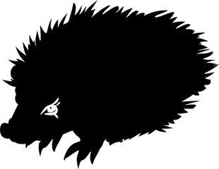 310x240 Search Photos Common Hedgehog