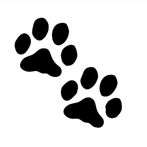 300x300 Sensational Pictures Of Dog Paws Hello Kitty Coloring Pages