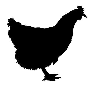 320x298 Hen Silhouette Decal Sticker