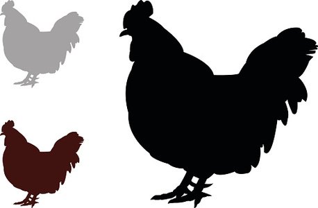 458x300 Hen Silhouette Premium Clipart