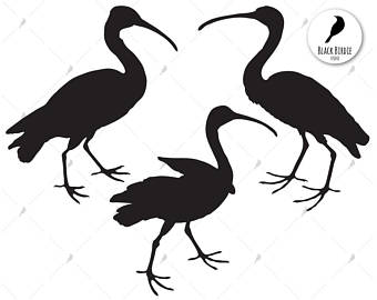 340x270 Birds Svg Etsy