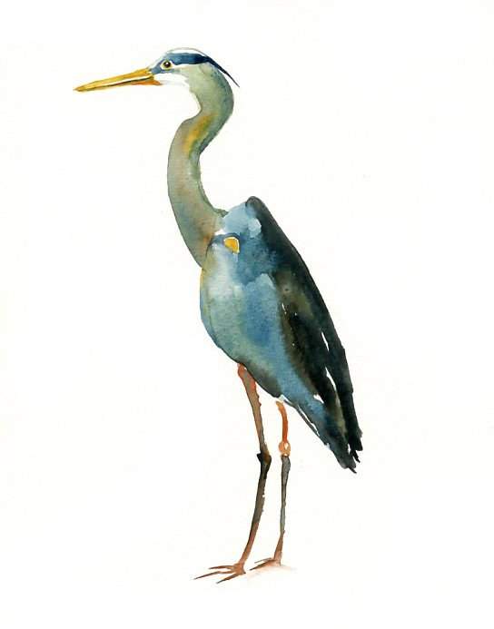 544x693 Blue Heron Clipart