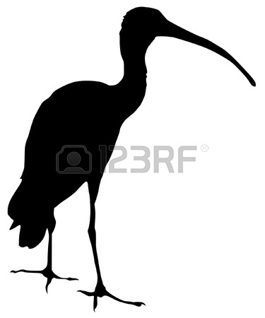 375x450 Blue Heron Clipart Ibis