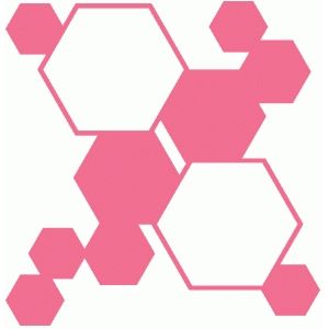 300x300 Silhouette Design Store