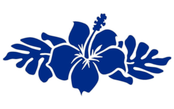 584x368 Matson Flower