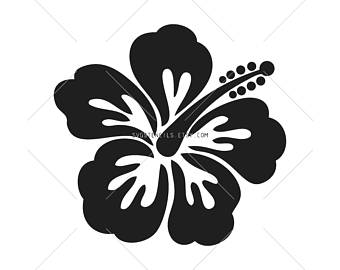 340x270 Svg Pteranodon Stencil Silhouette Studio Monogram Black