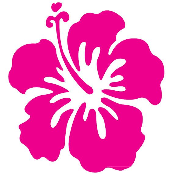 570x570 Hawaii Flower Hibiscus Wall Decal Laptop Decal By Acherryortwo