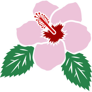 300x300 Silhouette Design Store