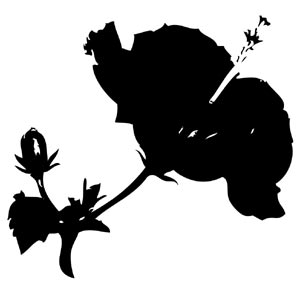 300x300 Crafty Destination