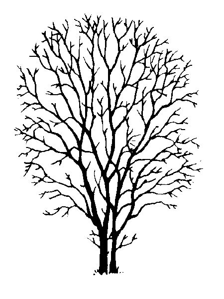 450x600 Pin By Think Wur On Downloads And Sketches Digi